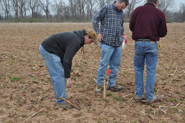 Photo of staking grid units